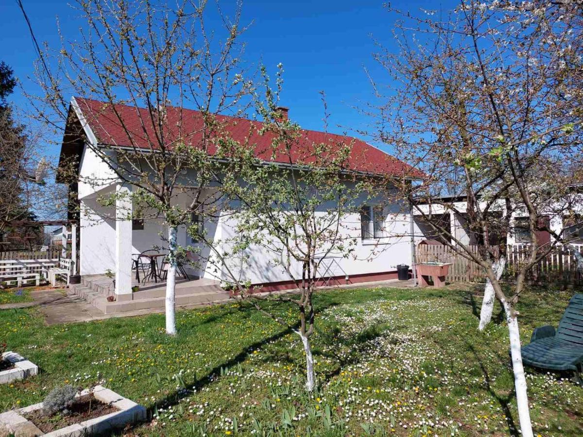 Apartman Dijelovi Bijeljina Exteriér fotografie